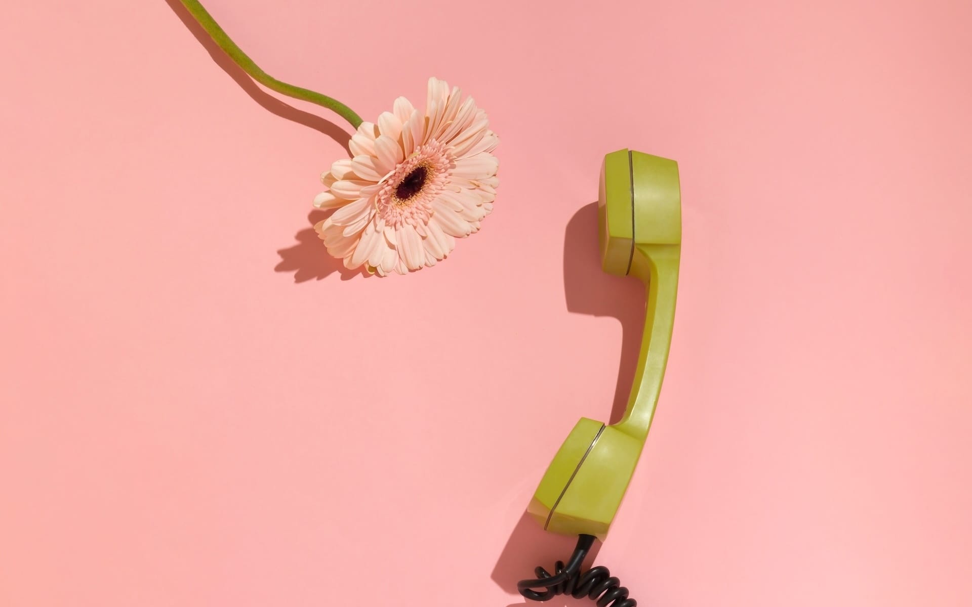 Phone next to a flower 