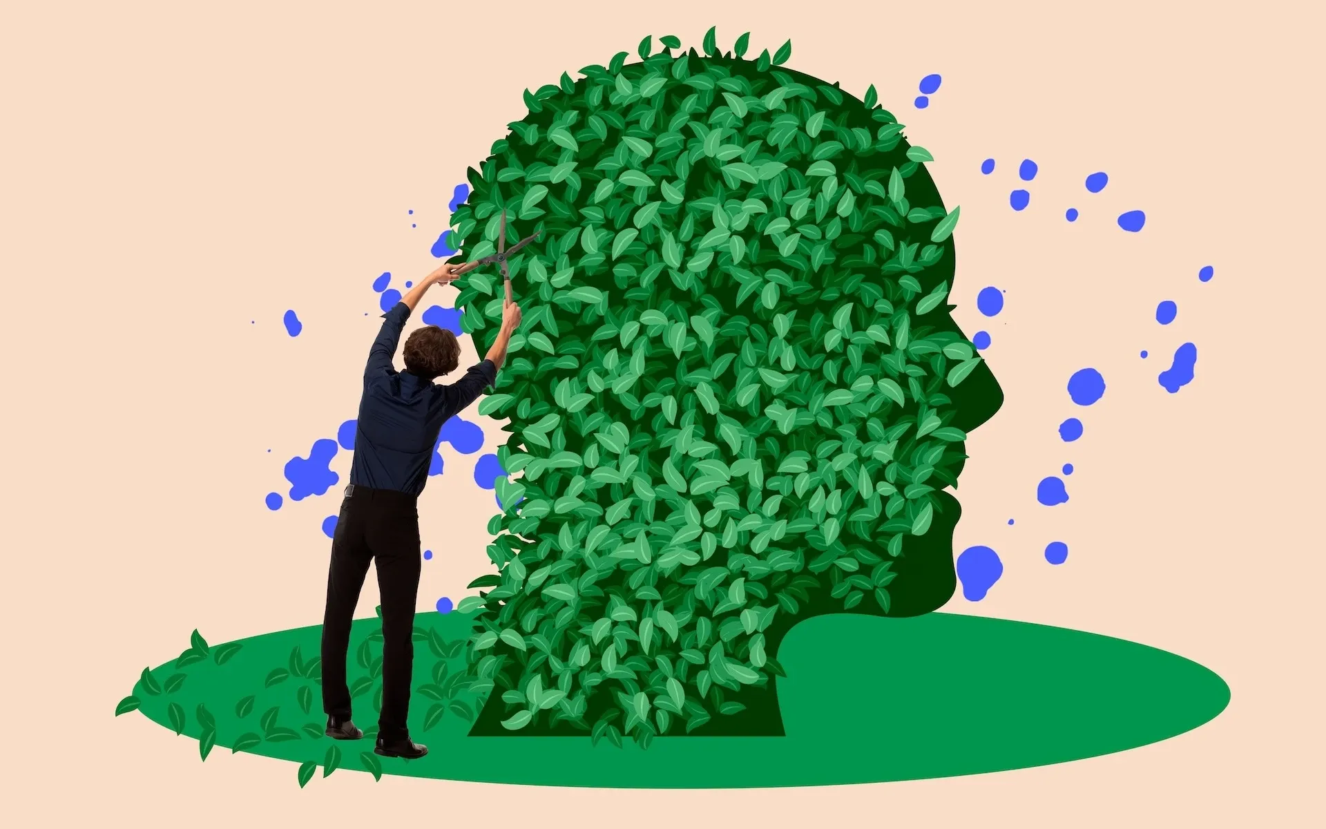 Person cutting a hedge in the shape of a human head