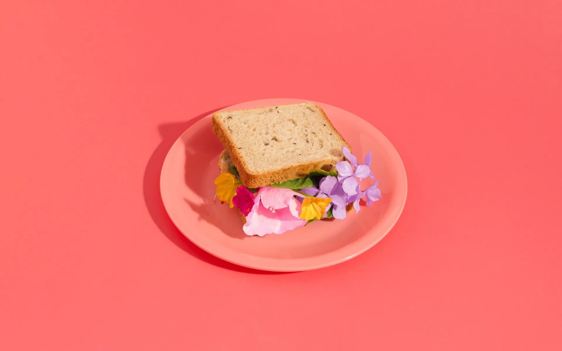 Sandwich full of flowers