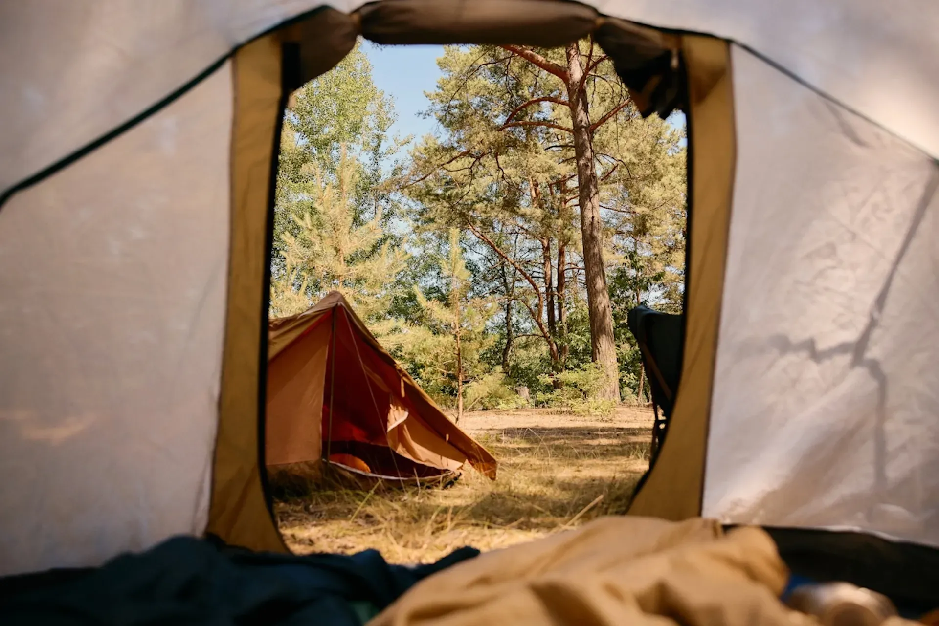 The opening of a tent, in the middle of a woodland clearing