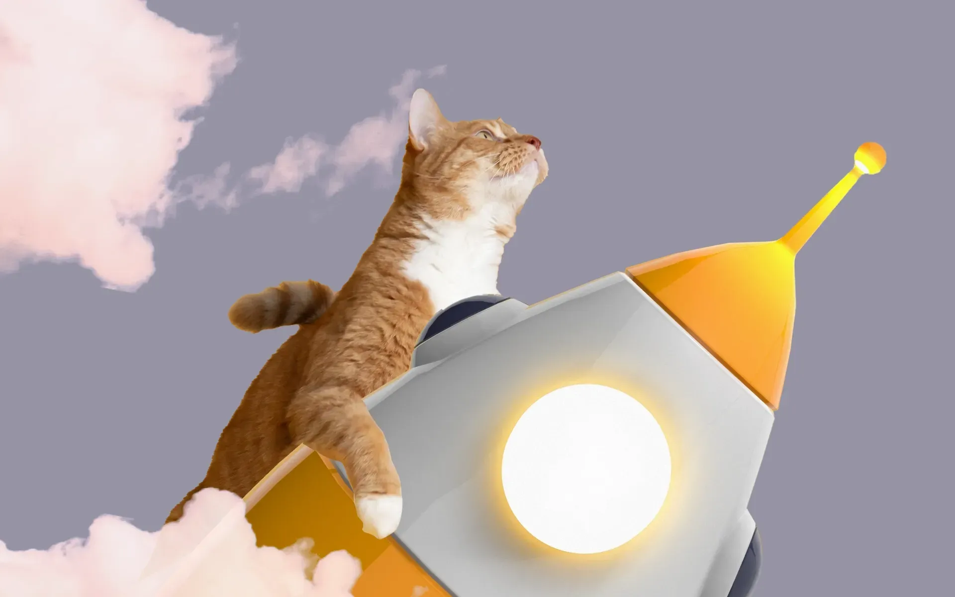 A cat riding a spaceship