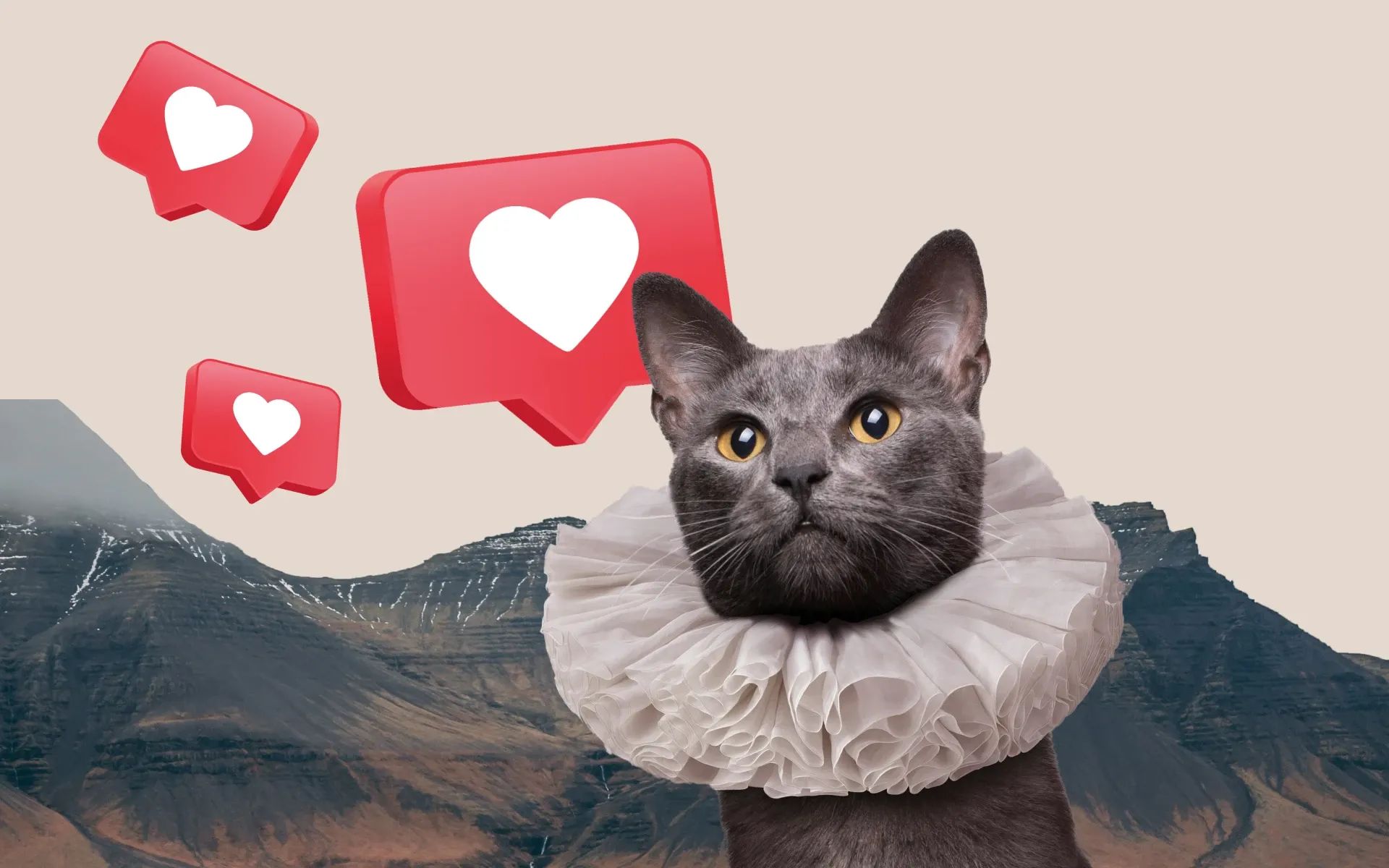 Fancy cat stood in front of some mountains