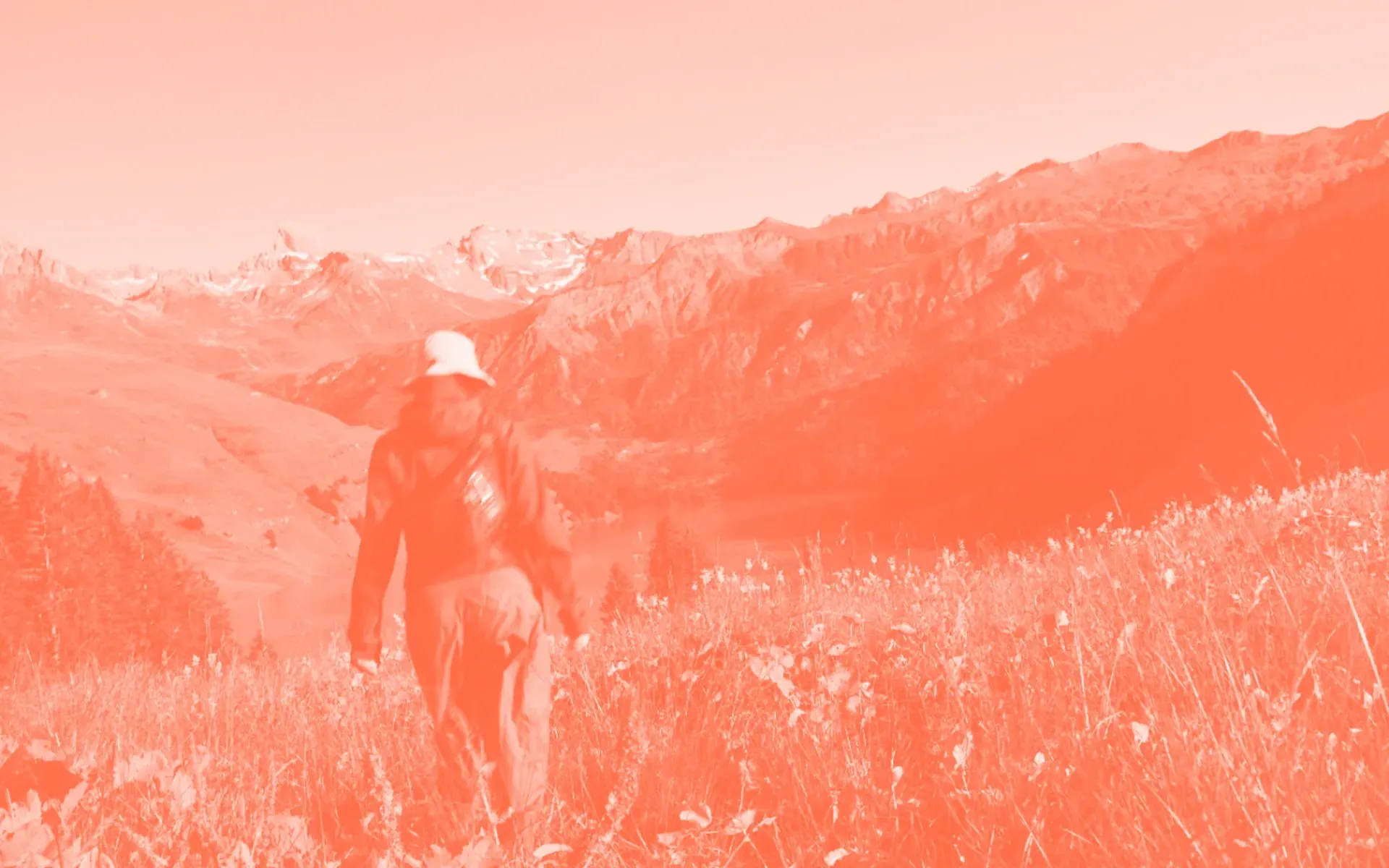 A person hiking through a field, with a mountain range ahead of them