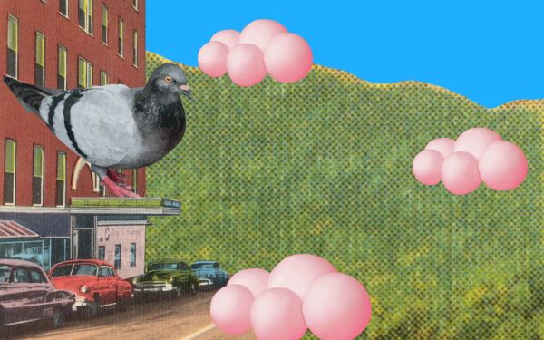 A giant pigeon on top of a building, overlooking a hill and some bubbly pink clouds