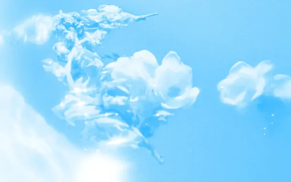 Some flowers floating in water