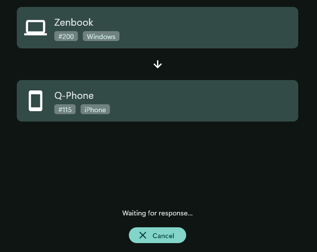 LocalSend-Sending-Screen.png