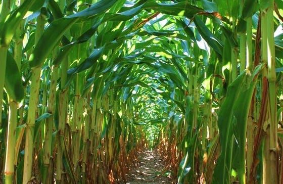 Behind the Boxscore: Indiana doesn't bend