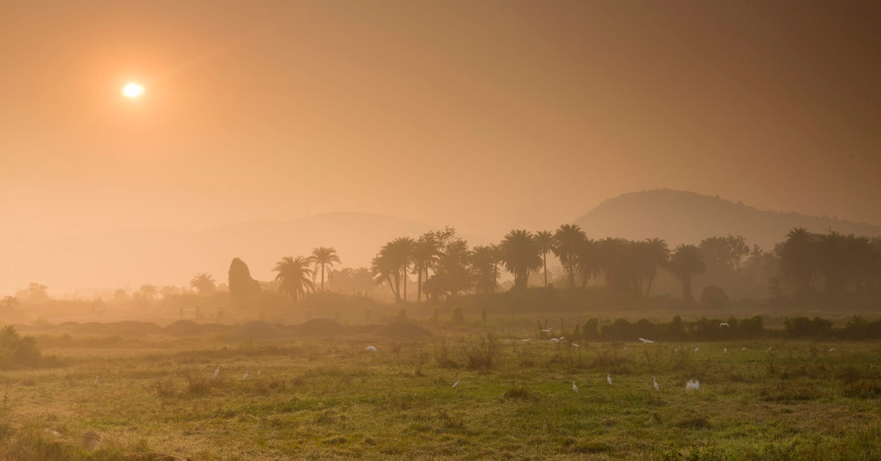 🌾 Rural Odisha Tours | 18 jours d'expérience tribale et patrimoniale