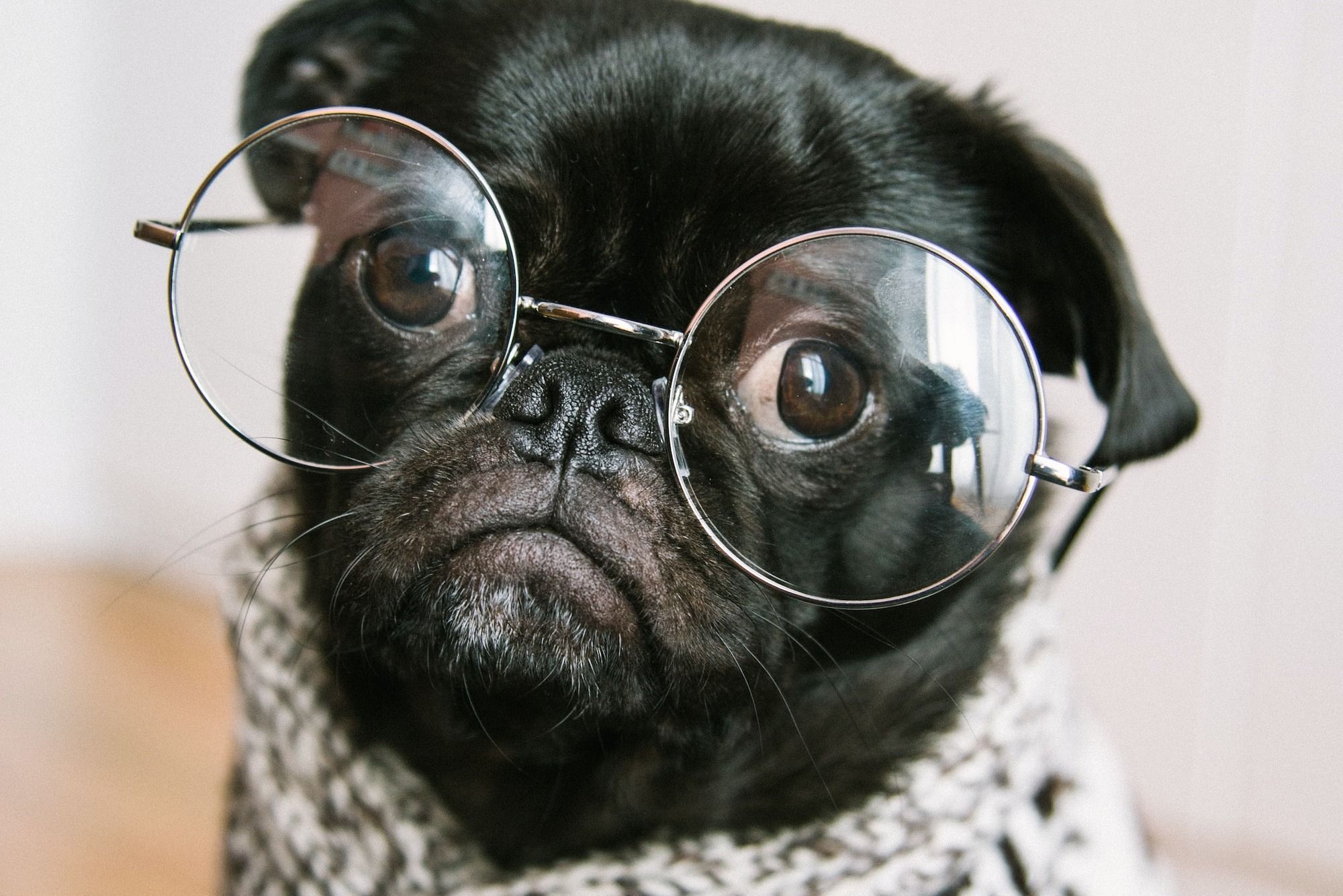 Is this newsletter for you?