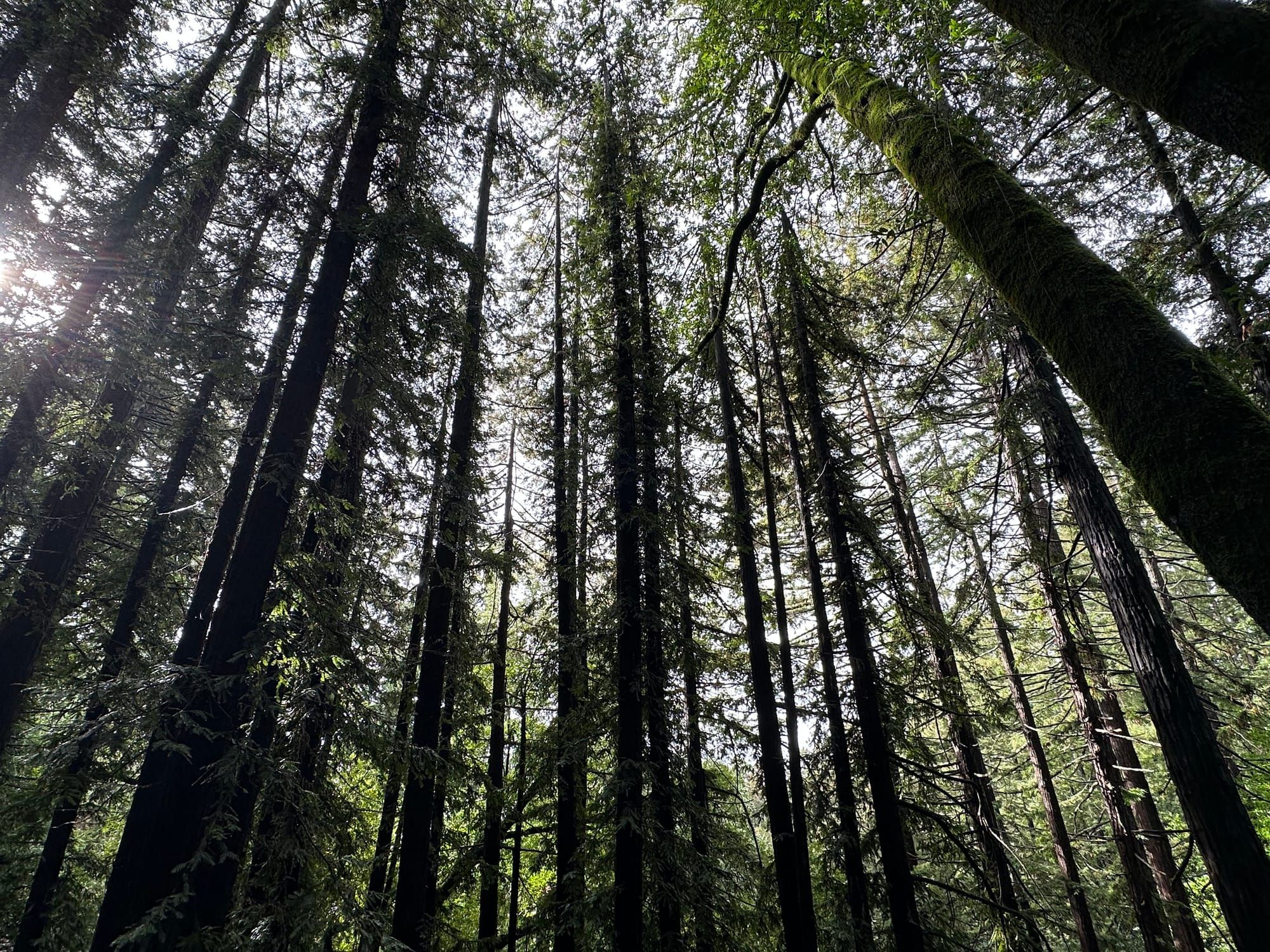 I think I'll wait another year