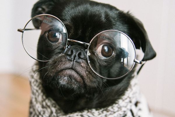 Is this newsletter for you?