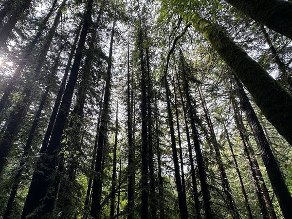 I think I'll wait another year