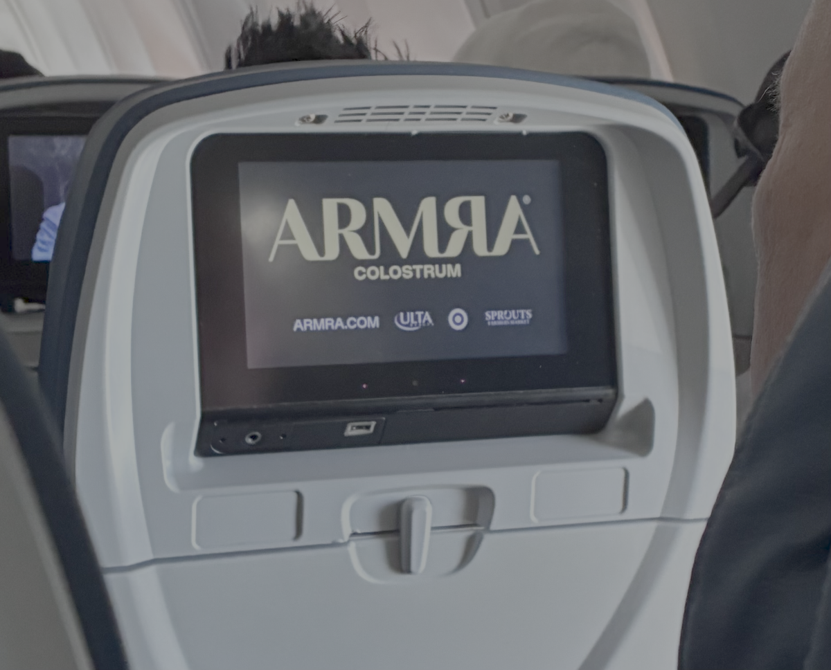 ARMRA In the Seatback TV