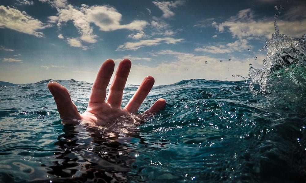 Open Science Drowns Science