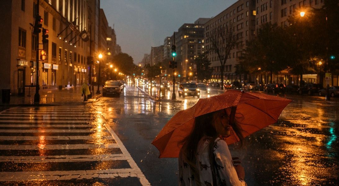 Scholarly Non-Profits Take PPP Loans