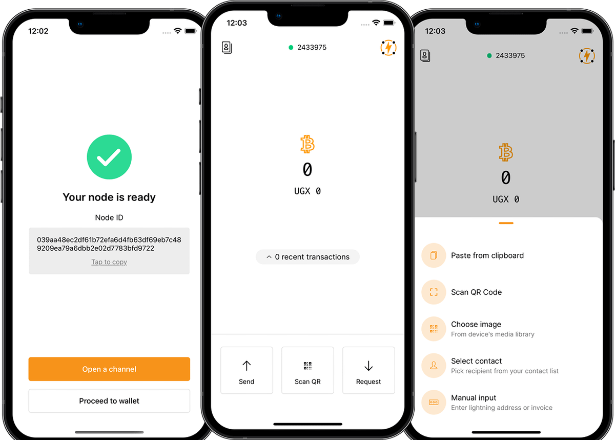 EttaWallet: Open Source Non-Custodial Lightning Wallet
