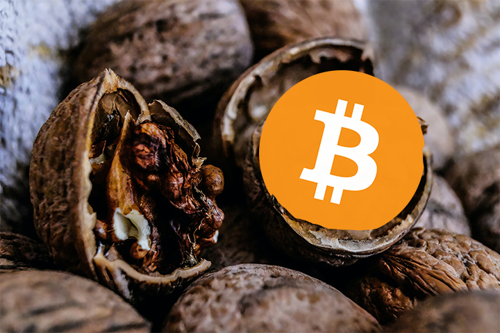 Cashu Nutshell v0.13.0: Ecash Seed Phrase Backups