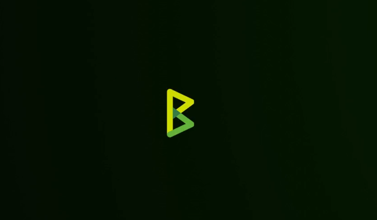 BTCPay Server v1.11.1: Bug Fixes
