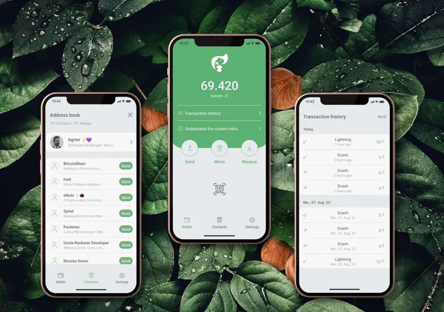 eNuts Wallet v0.0.3: First Public Beta Release