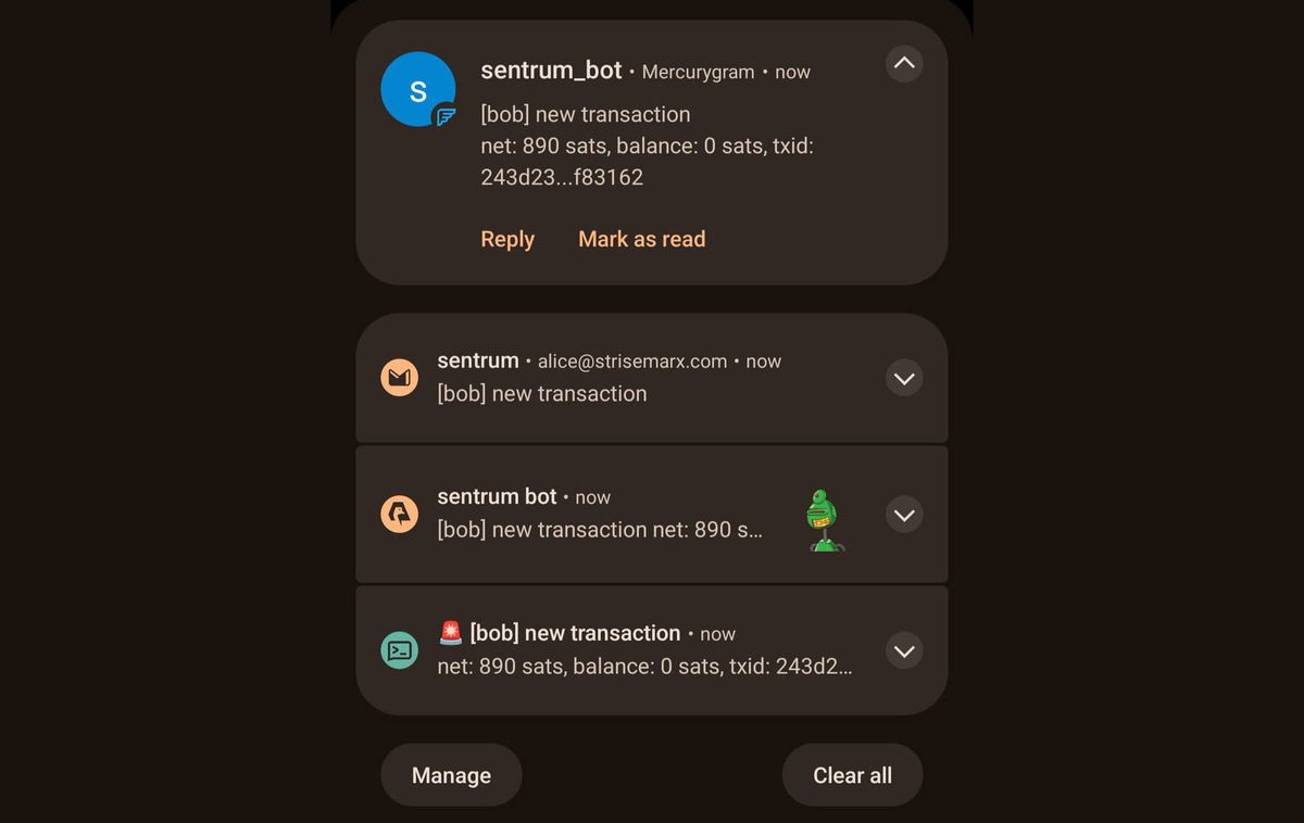 Sentrum: Daemon for Monitoring Watch-only Bitcoin Wallets