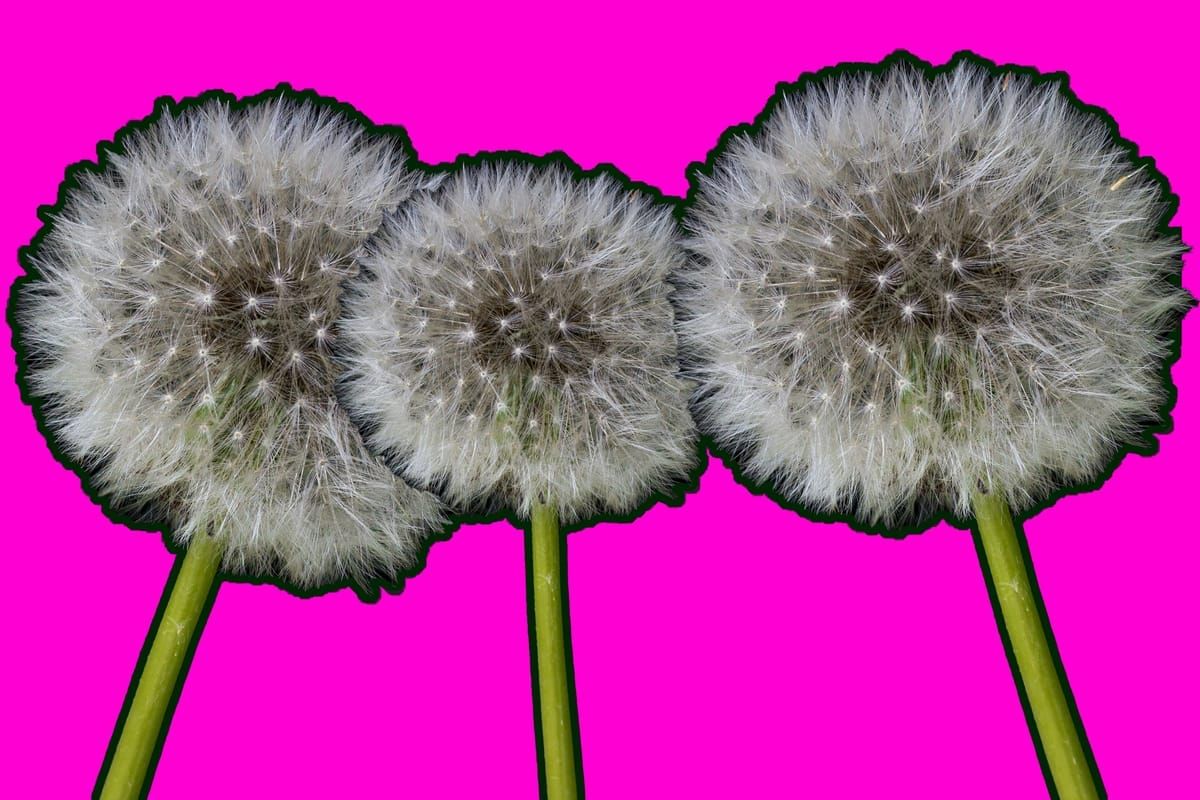 Improving Bitcoin Baselayer Privacy with Dandelion++