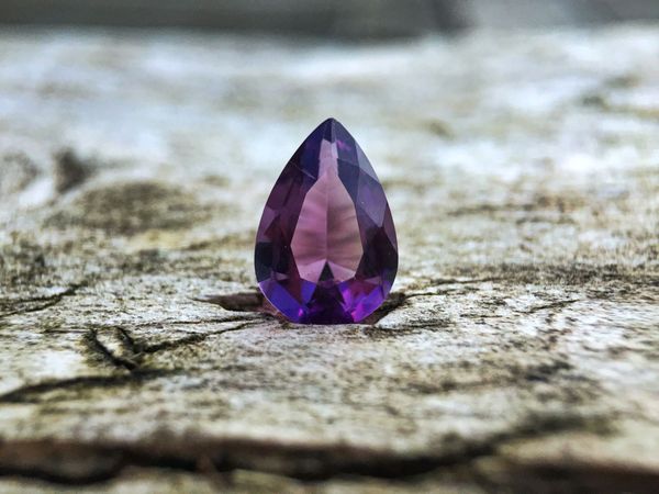 Amethyst v0.32.1 Released: NIP-69 Polls