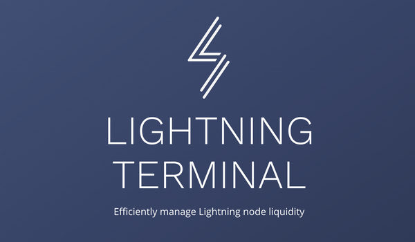 Lightning Terminal v0.9.1-alpha: Software Updates