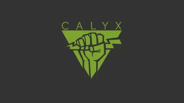 CalyxOS v5.0.1: Android 14 for Pixels 5 and Newer