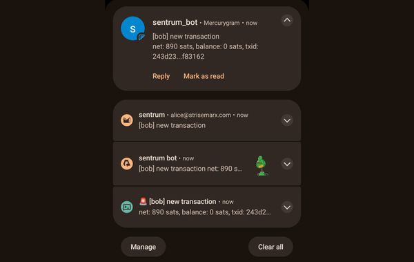 Sentrum: Daemon for Monitoring Watch-only Bitcoin Wallets