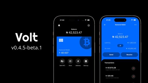 Volt Wallet v0.4.5-beta.1: Fixes & Improvements