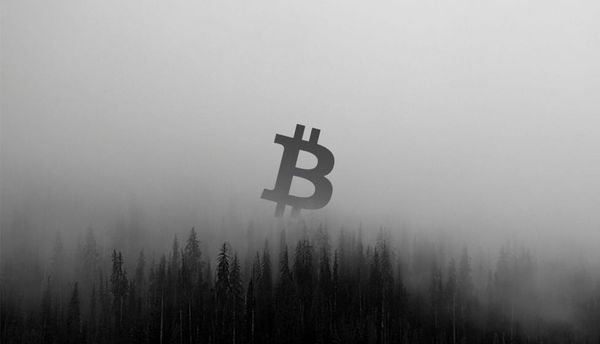Bitcoin Fog User Roman Sterlingov Gets 12.5 Years for Allegedly Running It Based on 'Junk Science'