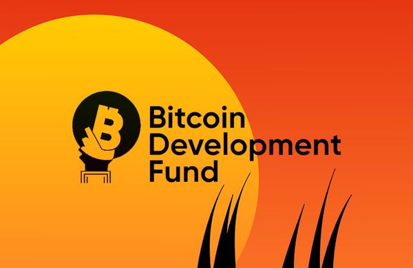Human Rights Foundation Grants 10 BTC to 23 Bitcoin Projects Worldwide