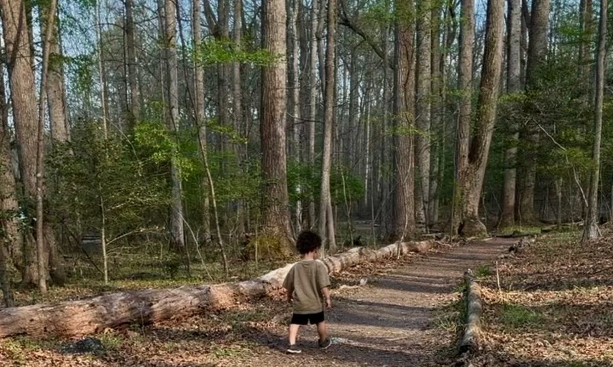 leaving the shire: a quest for peace & autonomy