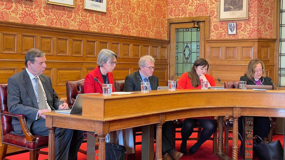 BISHOP STRIPPED OF VOTING RIGHTS IN HISTORIC PARLIAMENTARY MOVE