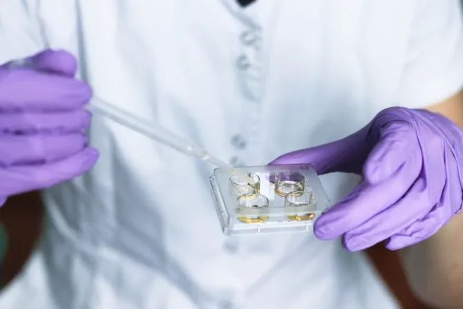 Churches Must Address Embryo Screening Ethics As 75% Of US Fertility Clinics Offer Sex Selection Testing