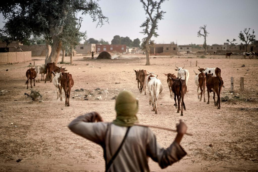 Fulani Terrorists Slaughter 29 Christians in Easter Sunday Church Massacres Across Nigeria
