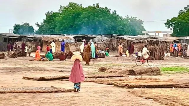 Forest Auschwitz Camps Sweep Across Nigeria: Up to 1,400 Christians Held Captive