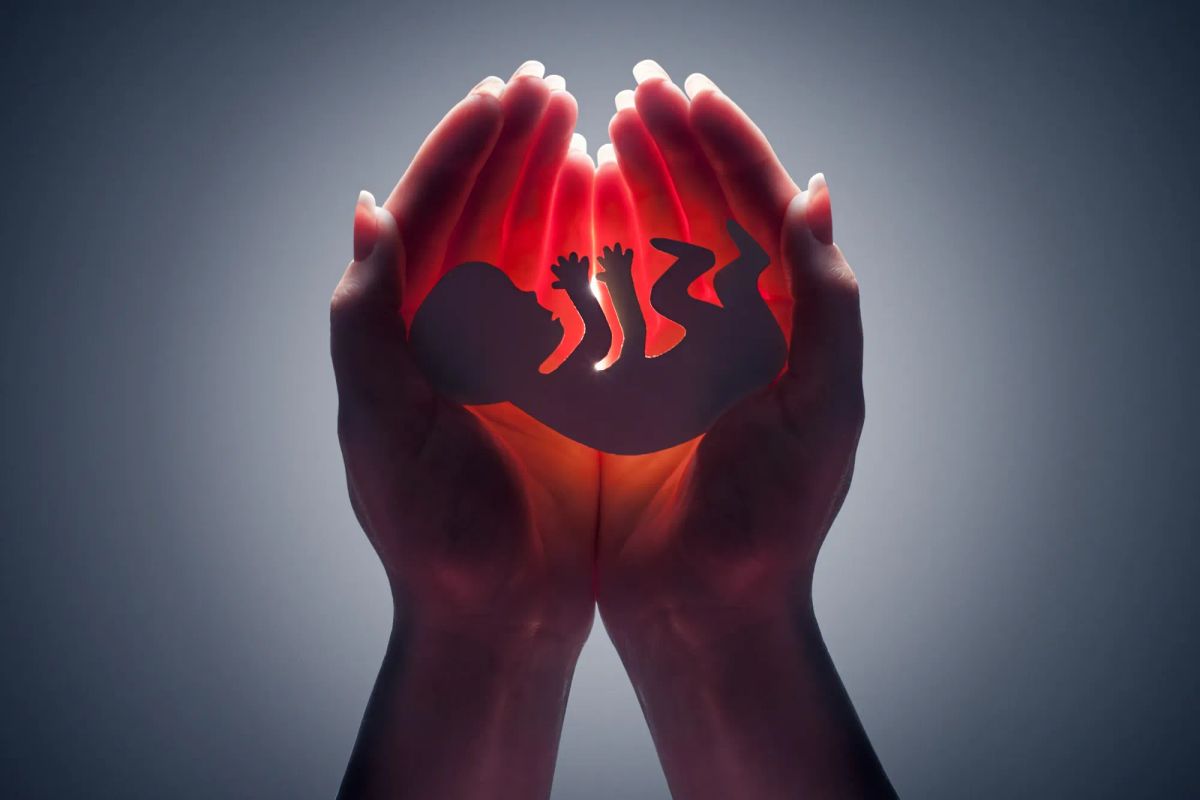 1.1 Million Babies Killed Every Year: The Pro Life Movement Needs a Lincoln Moment Now