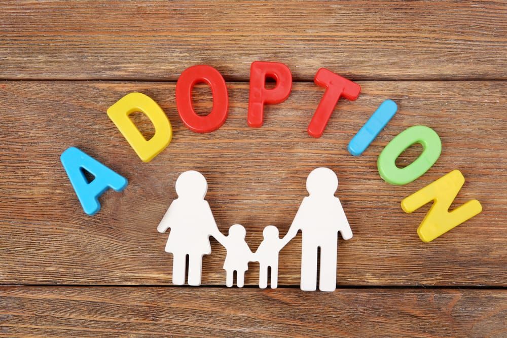 Adoption Doesnt Exist for Adults: Katy Faust Launches Coalition to Restore Childrens Rights in Marriage