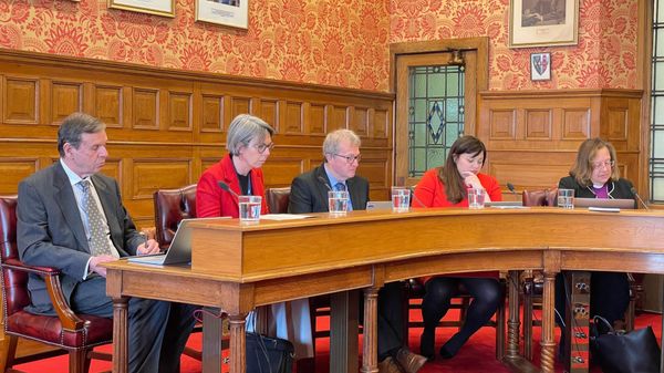 BISHOP STRIPPED OF VOTING RIGHTS IN HISTORIC PARLIAMENTARY MOVE