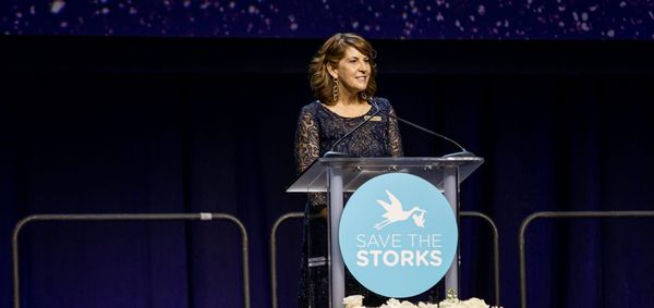 Save the Storks CEO Diane Ferraro: Motherhood Transcends Loss, Infertility, and Broken Dreams