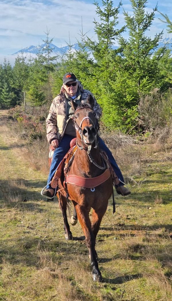 2026: The Year of the Fire Horse