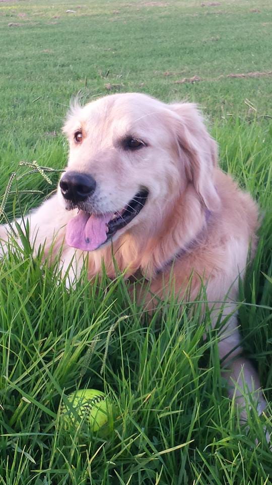 Augie with ball