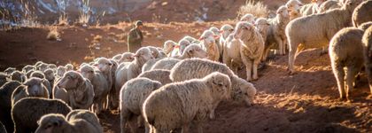 351 Old Testament Prophecies Fulfilled in Jesus Christ