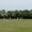 Rye's1st XI hit for six