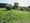 The Community Garden wakes up
