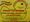 Saturday will be a quacker!
