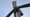 News flash . . . on wind farm