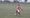 Rye Bay draw cracking game