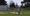 Rye defeated in opener